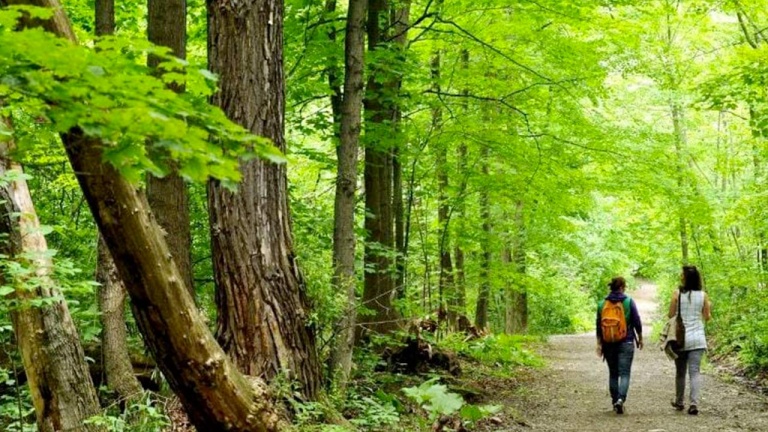 Découvrez l'une des deux forêts les plus anciennes du Québec