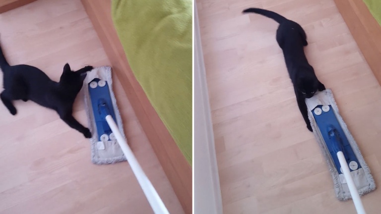 Qui aime faire le ménage de toute façon?