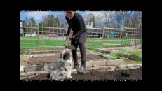 Un travail d'équipe