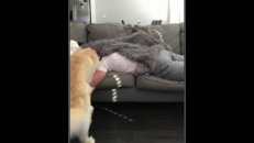 Va falloir un plus grand sofa...