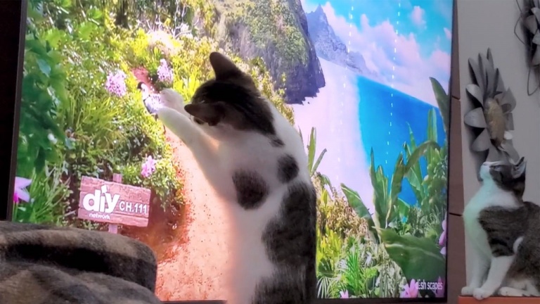 De quoi les occuper pendant les prochaines heures…