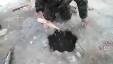 Une pêche ridiculement fructueuse... à main nue!
