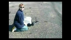 Petit pingouin n'aime pas la nature 