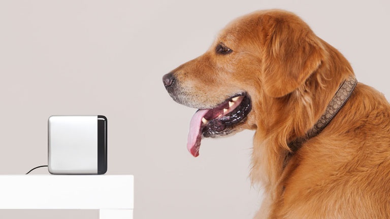 Le gadget qui permet d'interagir avec votre animal à distance