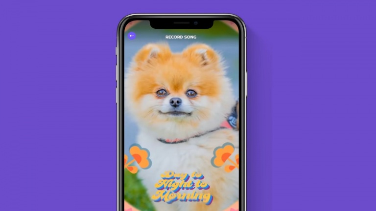 Transformez votre animal en vedette de vidéoclip avec cette application gratuite