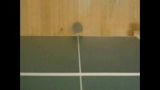 Jouer au ping-pong avec son chien