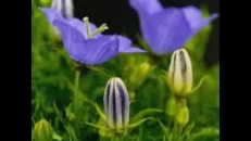 C’est le printemps !