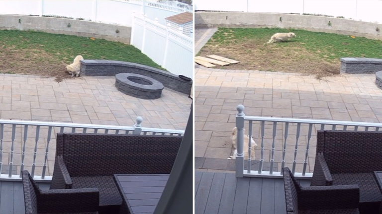 Pris en flagrant délit en plein projet!