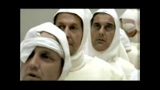 Spermatozoïdes pas forts forts!