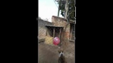 Les petits plaisirs de la vie