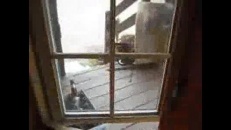 Quand la chatte attaque…