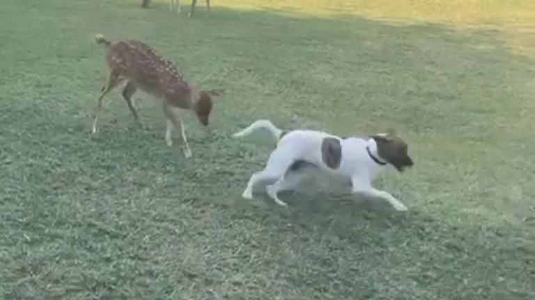 Mais qu'est-ce qui se passe ici?