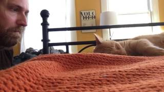 Il s'offre une petite vengeance contre son chat 
