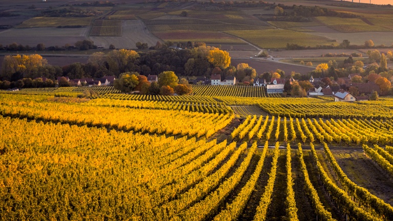 Transformez votre roadtrip dans Charlevoix en visite agricole