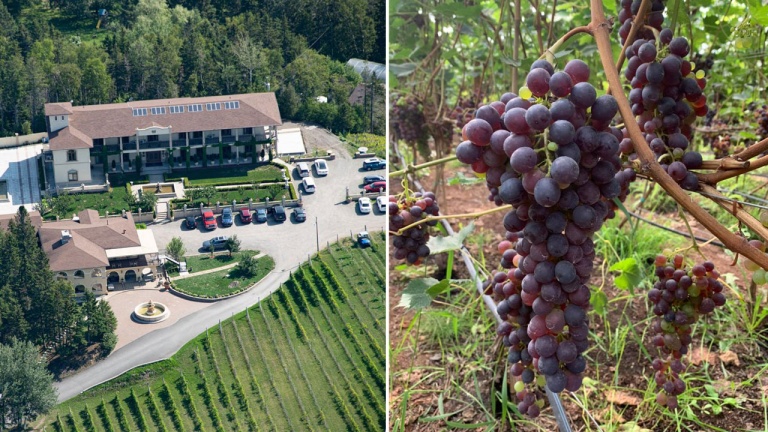 Ce vignoble à quelques kilomètres de Matane nous transporte en plein cœur de la Toscane