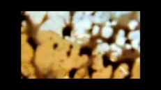 Rodéo avec tuyau d’arrosage