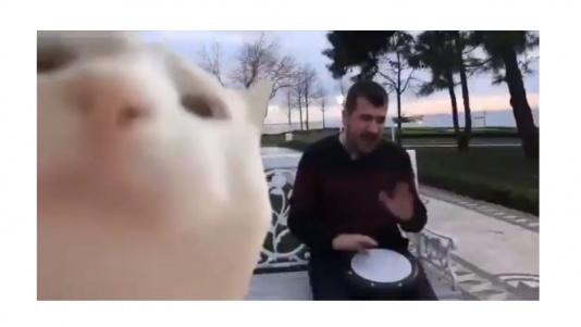 Un copain au rythme dans la peau 