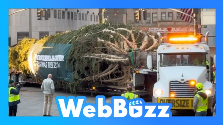 Livraison du gigantesque sapin de Noël de New York