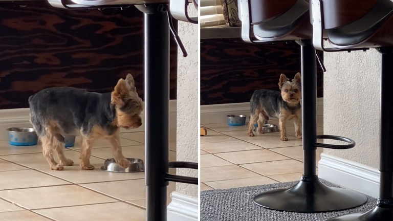 En voilà un qui sait se faire entendre