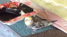 Si tu aimes le soleil, tape des mains!