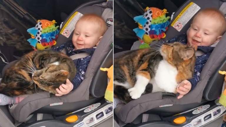 Un siège… mais deux passagers!