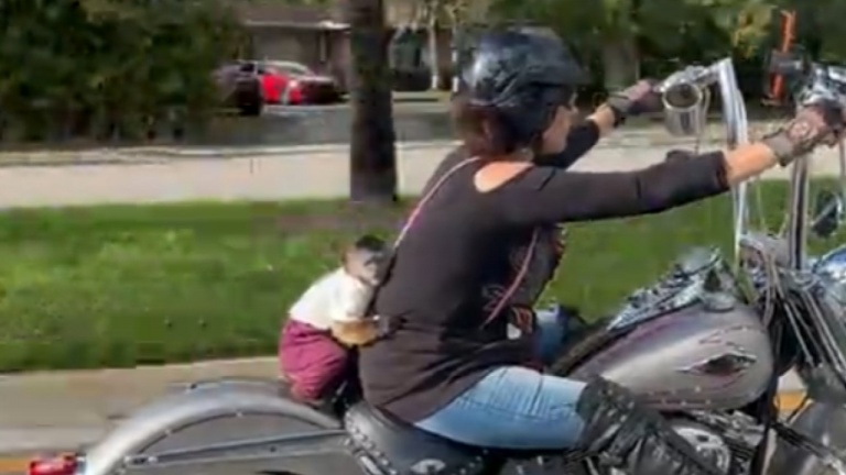 Un singe de compagnie monte à l'arrière d'une moto