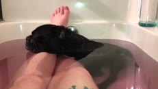 Un endroit inusité où faire la sieste