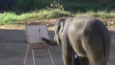 Un éléphant très artistique