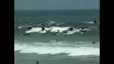 Record Guinness en surf
