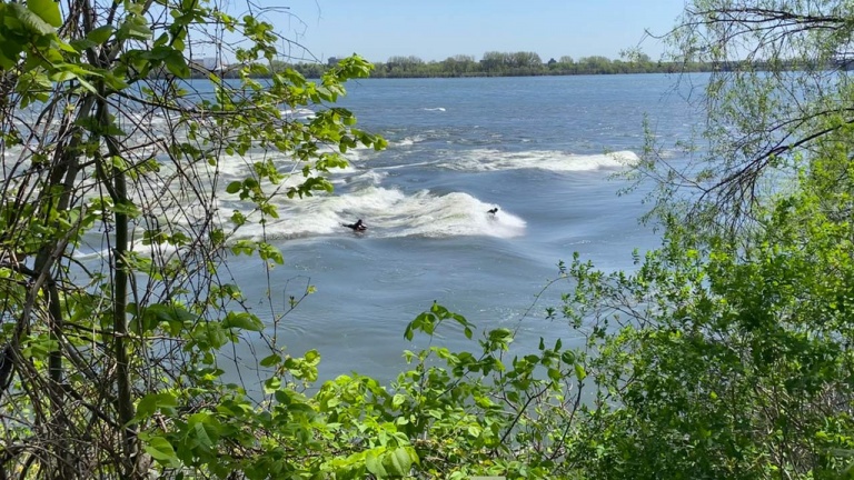 Apprenez à surfer en plein cœur de la Montréal derrière Habitat 67