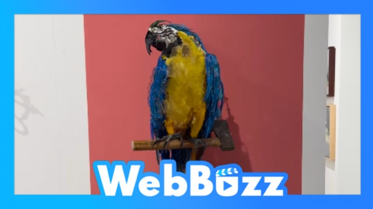 Cet artiste fait des sculptures magnifiques avec des déchets