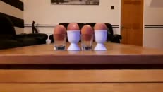 Combien d'œufs voyez-vous?