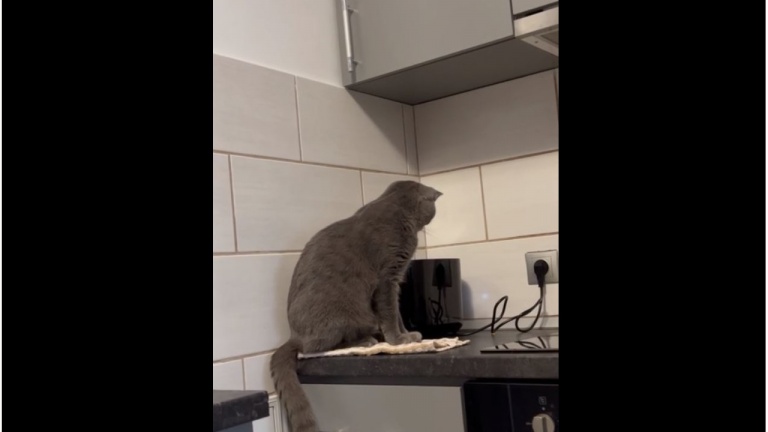 Non, mais ça fait peur un grille-pain!