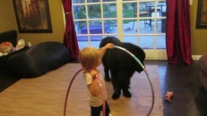 Une fillette explique à son chien comment faire du hula hoop!