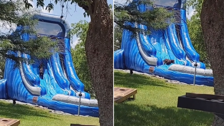 Des heures de plaisir pour toute la famille