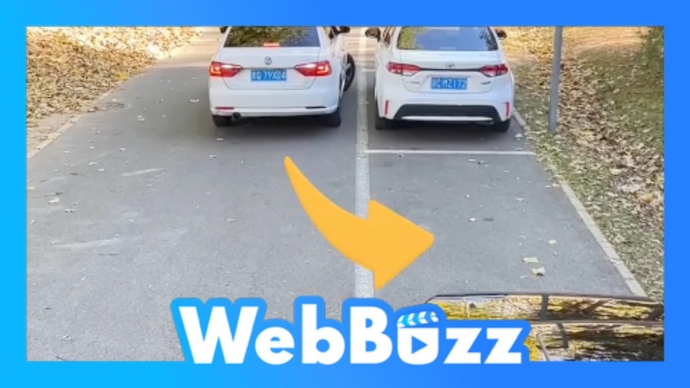 Vraie technique simple de stationnement parallèle