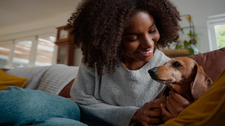 Offrez vos services de gardiennage d’animaux et profitez-en pour voyager avec cette app