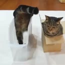 L'ergonomie? Je ne connais pas ça, moi!  L'ergonomie? Je ne connais pas ça, moi!