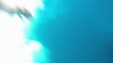 Jonas dans la baleine