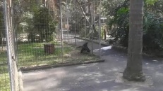 Une chicane d'oiseau