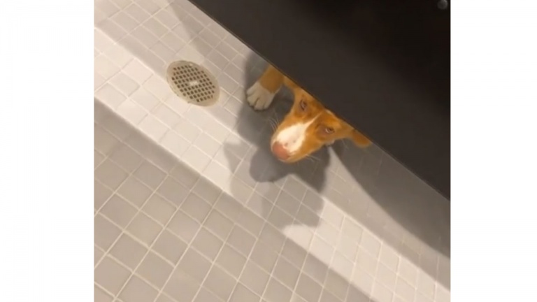 Possible d’avoir un peu d’intimité ici?