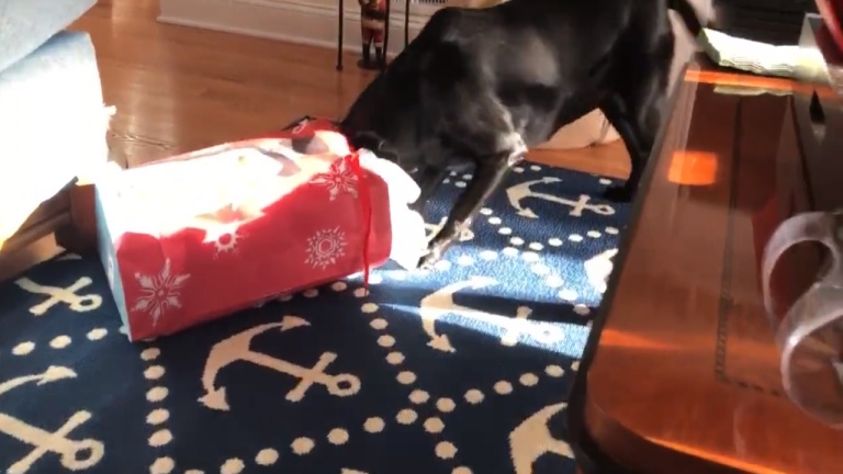 Tout le monde veut son cadeau à Noël
