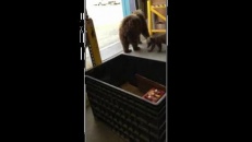 Une visite surprise à l'entrepôt