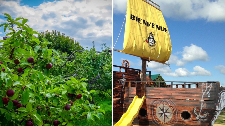 Allez cueillir des pommes en famille dans ce verger à thématique pirate!