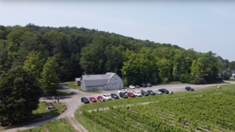 Ce vignoble du Lac-Brome est définitivement la place où aller pour comprendre comment faire du vin