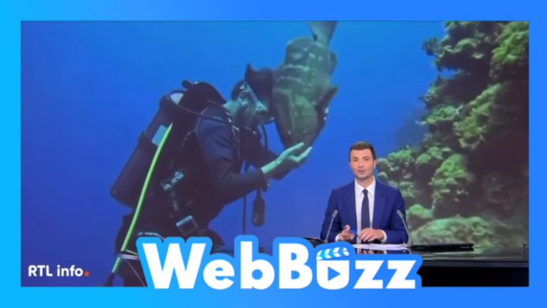 L'amitié entre un poisson et un humain
