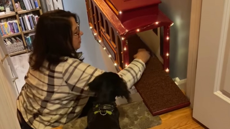Ascenseur pour chien qui ne peut pas monter les marches