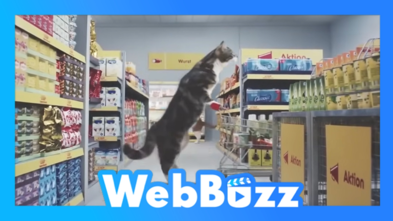 Si les chats faisaient leur épicerie