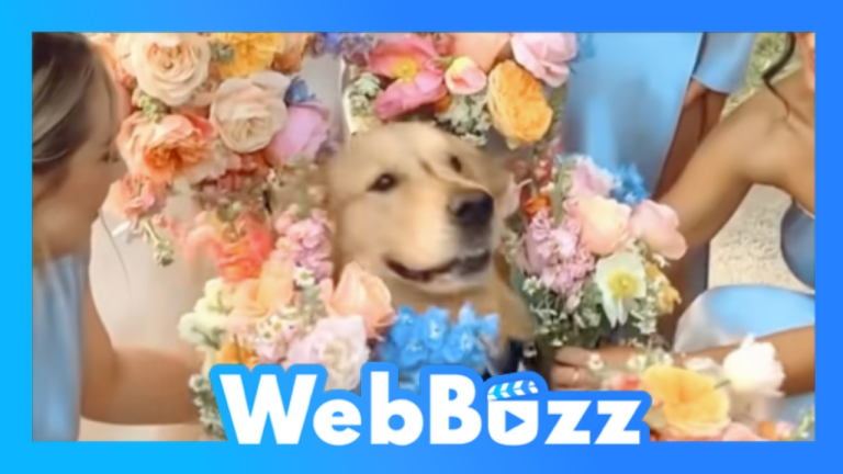 Quand les chiens font partie du mariage