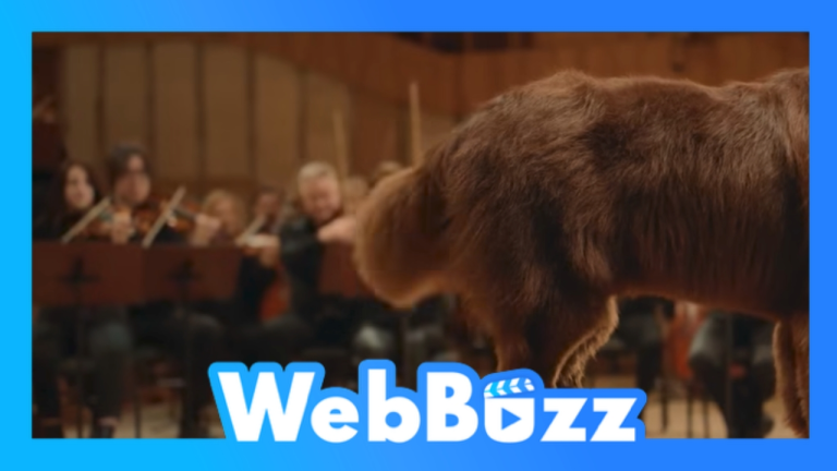 Quand les chiens deviennent chefs d’orchestre